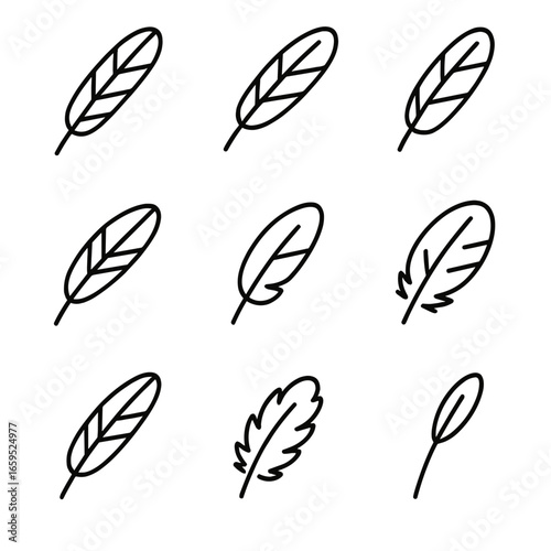 Feather Types Icons. Outline icon set of feather types for flight: primary feathers, secondary feathers, covert feathers, tail
