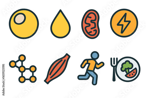 Lipid Energy Icons. Flat vector mini-illustrations lipid energy storage in colors children's illustrations: fat cell, triglyceride