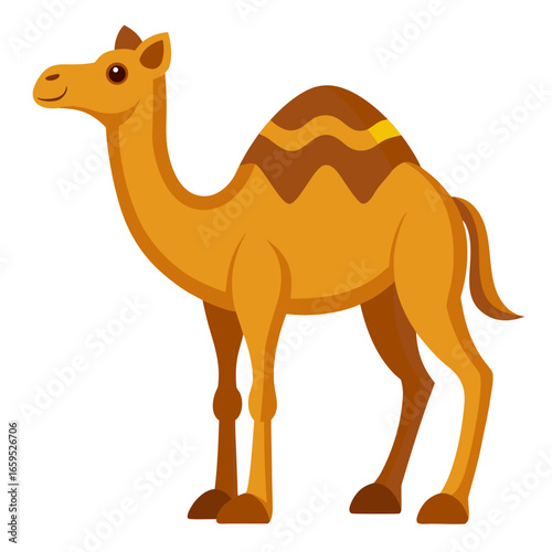 camel