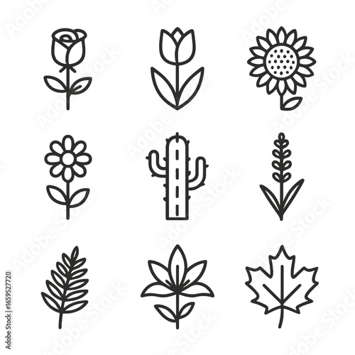 Garden Plant Icons. Outline icon set of garden plants: rose, tulip, sunflower, daisy, cactus, lavender, fern, lily, maple leaf.