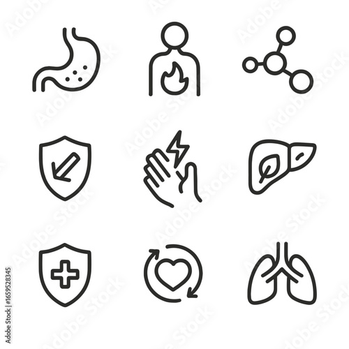 Peppery Health Icons. Outline icon set of peppery health benefits: digestion aid, metabolism boost, antioxidant, anti-inflammatory