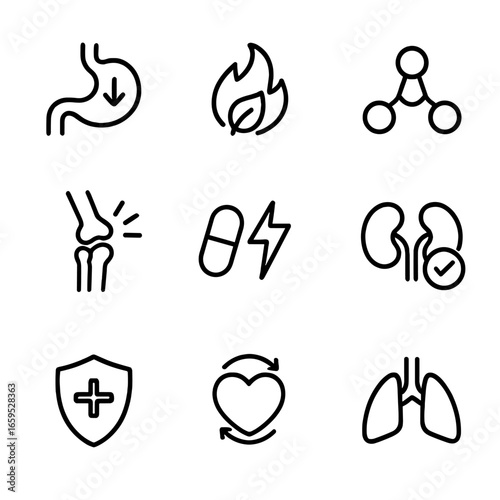 Peppery Health Icons. Outline icon set of peppery health benefits: digestion aid, metabolism boost, antioxidant, anti-inflammatory