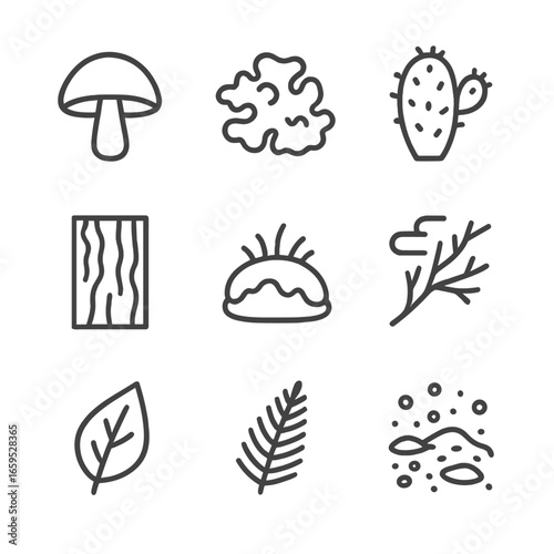 Gray Botanical Icons. Outline icon set of gray plants and fungi: mushroom cap, stone lichen, gray cactus, tree bark, gray moss,