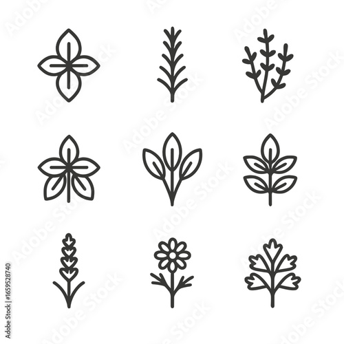 Herbal Plant Icons. Outline icon set of herbal plants: basil, rosemary, thyme, mint, sage, oregano, lavender, chamomile, parsley.