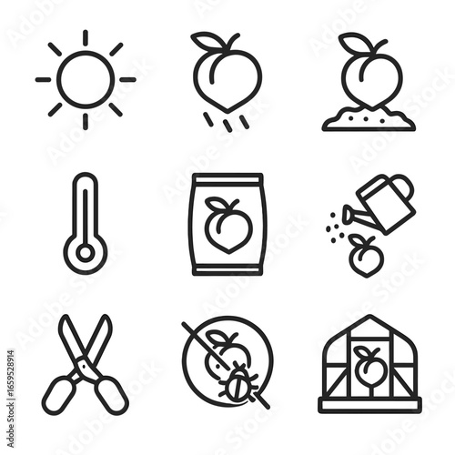 Peach Cultivation Icons. Outline icon set of peach environmental factors: sun, rain, soil, temperature, fertilizer, watering,