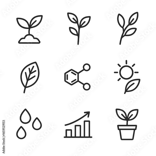 Plant Growth Icons. Outline icon set of plant growth: seedling with leaves, stem elongation, leaf buds, leaf veins, chlorophyll,