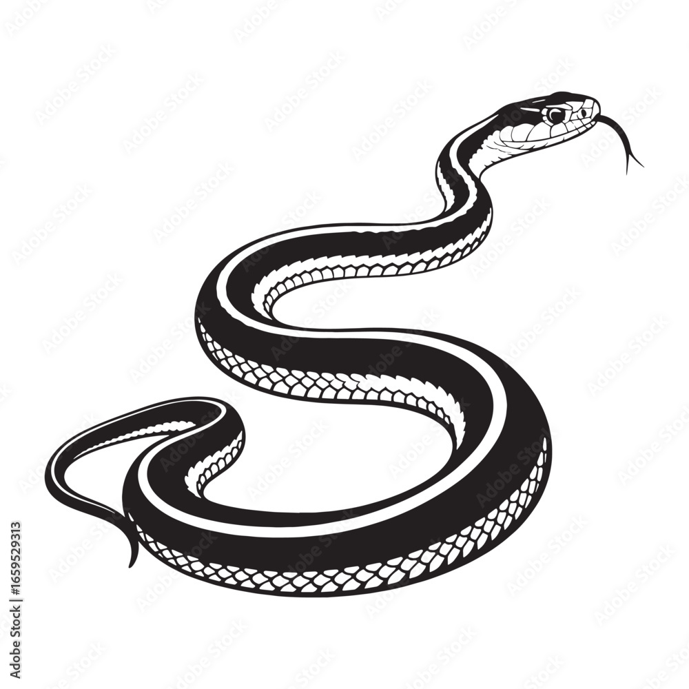 Fototapeta premium Clean Garter Snake Silhouette with Slim Serpentine Line – Garter Snake Vector Graphic – Black Vector of Garter Snake – Snake Vector