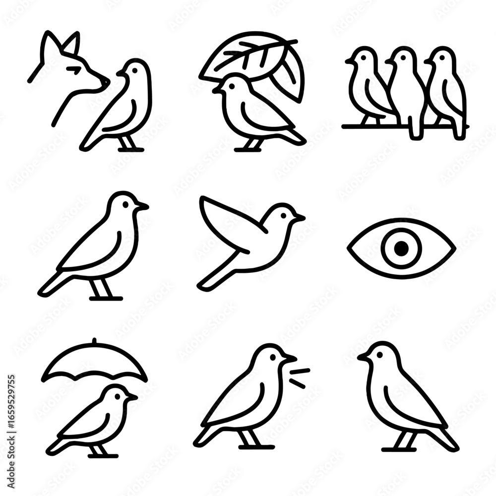 Obraz premium Roost Safety Icons. Outline icon set of roost safety: predator watch, camouflage, group roost, alert posture, escape flight,