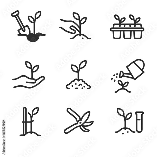Sapling Planting Icons. Outline icon set of sapling planting methods: digging hole, transplanting, seedling tray, hand planting,