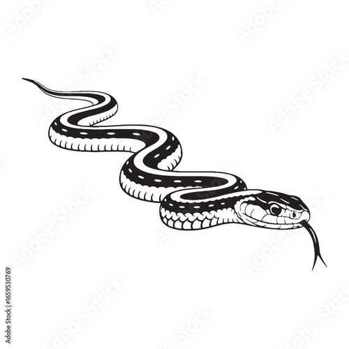 Detailed Garter Snake Silhouette Showing Harmless Nature – Garter Snake Vector Template – Garter Snake Illustration – Silhouette of Garter Snake – Snake Silhouette