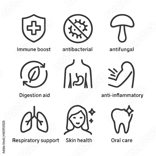 Thyme Health Icons. Outline icon set of thyme health benefits: immune boost, antibacterial, antifungal, antioxidant, digestion aid