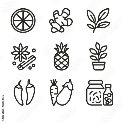 Seasonal Food Icons. Outline icon set of zesty seasonal foods: summer citrus, winter ginger, spring herbs, autumn spices, tropical