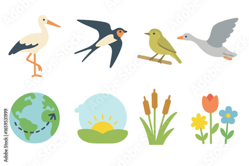 Migratory Birds Arriving. Flat vector mini-illustrations migratory birds arriving in May in colors children's