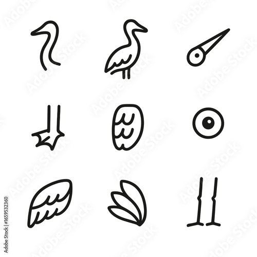 Stork Icon Set. Outline icon set of stork physical features: long neck, slender body, sharp beak, webbed feet, plumage pattern,