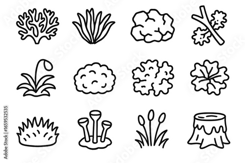 Moss and Lichen Icons. Outline icon set of mosses and lichens: reindeer moss, green carpet moss, rock lichen,