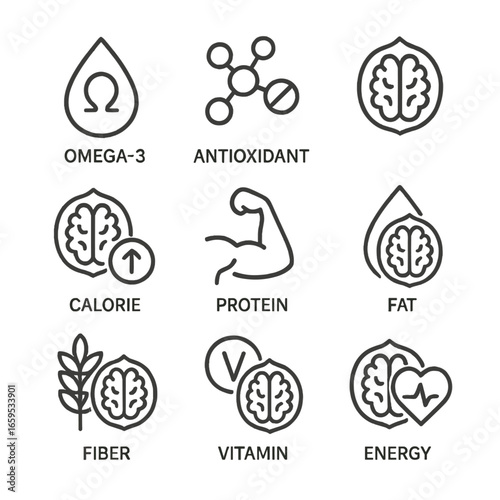 Walnut Health Icons. Outline icon set of walnut health and nutrition: omega-3, antioxidant, calorie count, protein, fat content,