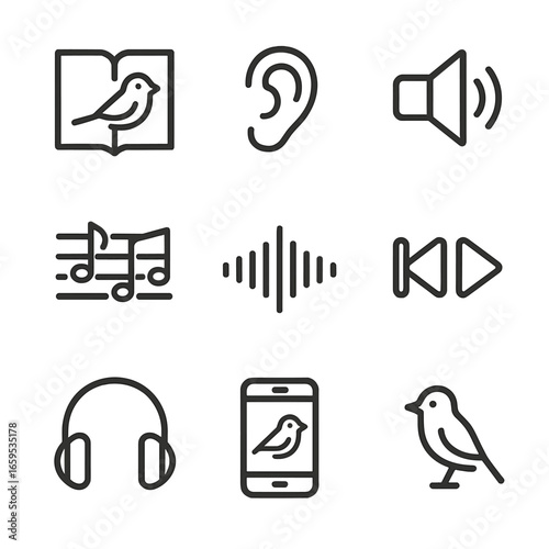 Bird Call Learning Icons. Outline icon set of bird call learning: bird song book, ear training, speaker, notes on staff, sound