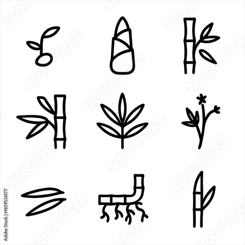 Bamboo Growth Icon Set. Outline icon set of bamboo growth stages: bamboo seedling, young bamboo shoot, mature bamboo stalk, bamboo