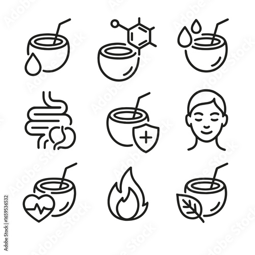 Coconut Health Icons. Outline icon set of coconut health benefits: hydration, antioxidants, electrolytes, digestion aid, immune
