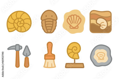 Colorful Fossil Icons. Flat vector mini-illustrations shell fossils in colors children's illustrations: ammonite fossil, trilobite