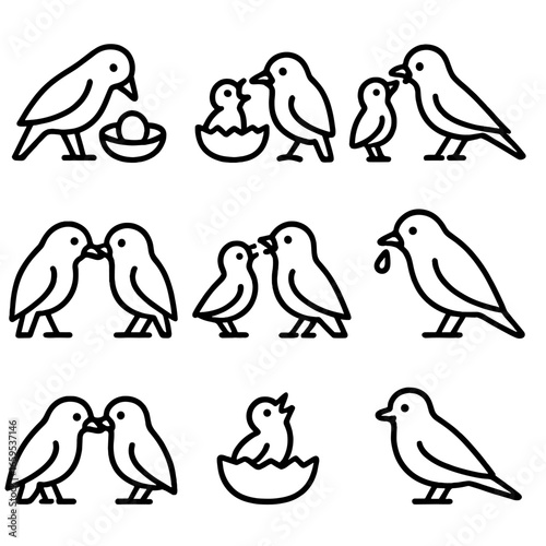 Bird Feeding Stages Icons. Outline icon set of feeding stages: feeding egg, feeding chick, feeding fledgling, feeding adult,