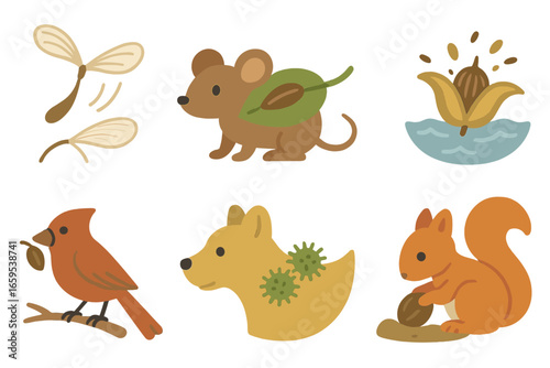 Seed Dispersal Icons. Flat vector mini-illustrations Seed dispersal methods in colors children's illustrations