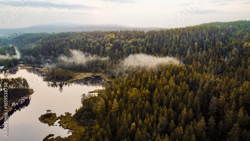 A dark forest in the early mornings. Fog in between the forest and the bright sky is reflecting in the river. Shot on drone.