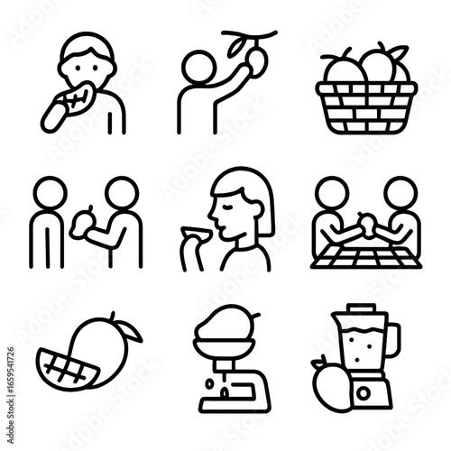 Mango Delight Icons. Outline icon set of mango eating and enjoyment: eating mango, mango picking, mango basket, mango smoothie sip