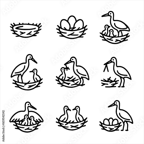 Crane Nesting Icons. Outline icon set of crane nesting: nest, eggs, chicks, incubation, feeding young, nest building, protective