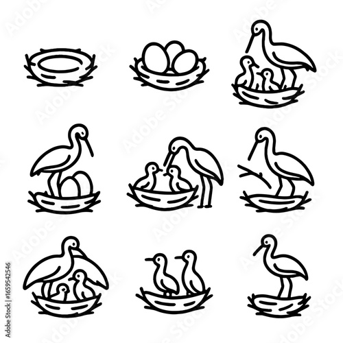 Crane Nesting Icons. Outline icon set of crane nesting: nest, eggs, chicks, incubation, feeding young, nest building, protective