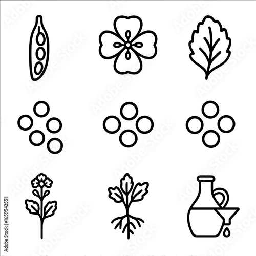 Mustard Plant Icon Set. Outline icon set of mustard seeds and plants: mustard seed pod, mustard flower, mustard leaf, black