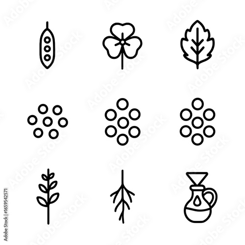 Mustard Plant Icon Set. Outline icon set of mustard seeds and plants: mustard seed pod, mustard flower, mustard leaf, black