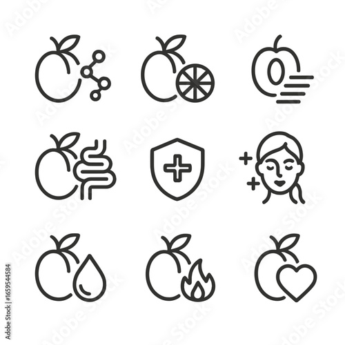 Plum Health Icons. Outline icon set of plum health benefits: antioxidants, vitamin C, fiber, digestion aid, immune support, skin