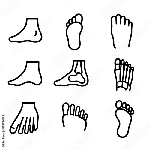 Foot Anatomy Icons. Outline icon set of step foot anatomy: heel, sole, toe, arch, ball of foot, instep, metatarsal, phalanges,