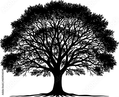 Black silhouette of a deciduous tree with spreading branches and roots
