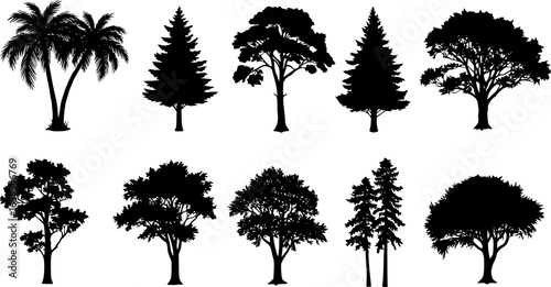Diverse tree silhouettes including palms and conifers

