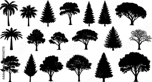 Diverse tree silhouettes including palms and conifers
