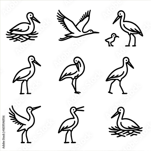 Stork Behavior Icons. Outline icon set of stork behaviors: nesting, flying, feeding, standing, preening, walking, mating display,