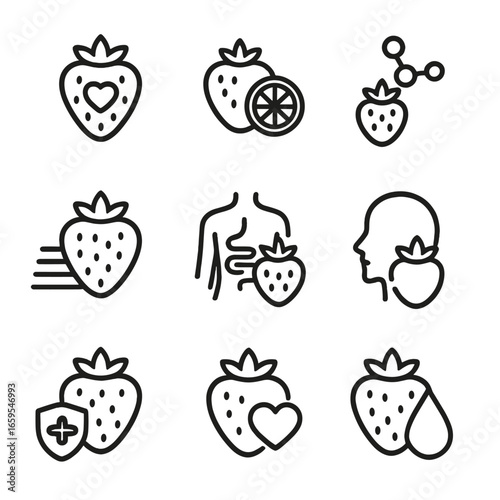 Strawberry Health Icons. Outline icon set of strawberry health benefits: antioxidant, vitamin C, fiber, digestion aid, skin health