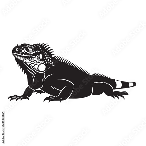 Iguana Silhouette Showing Strong Tropical Reptile Form – Iguana Vector Illustration for Artistic Projects – Silhouette of Iguana
