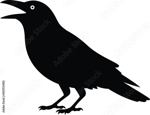 Black bird with open beak and white eye silhouette
