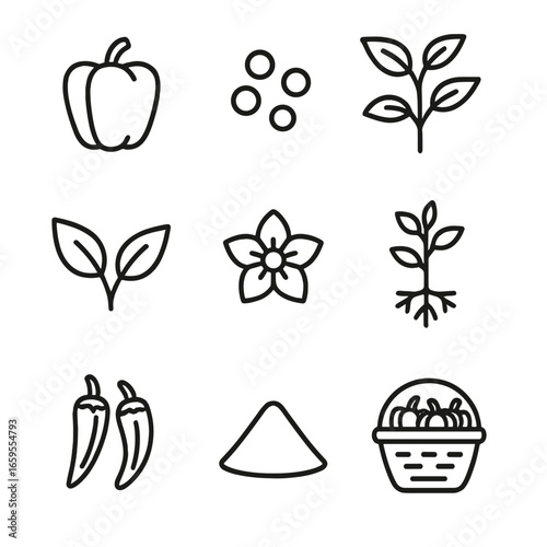 Paprika Plant Icons. Outline icon set of paprika plant parts: pepper pod, seeds, stem, leaves, flower, roots, dried pods, powder,