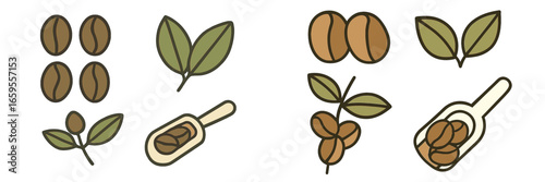 Coffee beans and leaves vector illustration for organic products