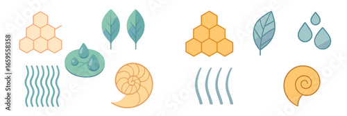 Vector illustration of abstract natural elements and shapes