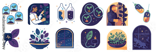 Vector illustration of plant nurturing and growth in various stages