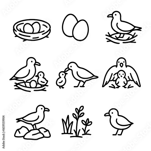 Seagull Nesting Icons. Outline icon set of seagull nesting: nest, eggs, chicks, incubation, feeding young, protective wings,