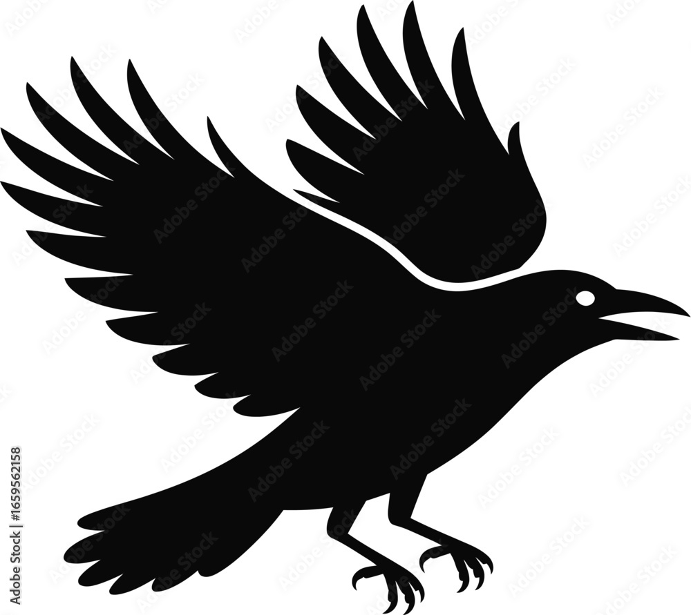 Fototapeta premium Black bird in flight flying wings spread