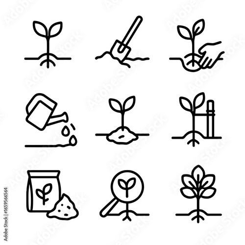 Tree Planting Icons. Outline icon set of tree planting process: seedling, hole digging, planting, watering, mulching, staking,