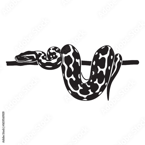 Detailed Python Silhouette Depicting Characteristic Long Length – Python Vector Artwork – Python Illustration – Silhouette of Python – Snake Silhouette