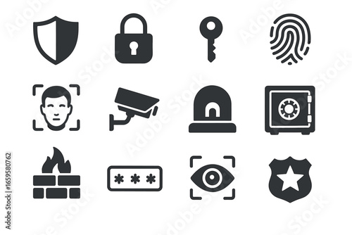 Security icons set including lock, key, fingerprint, camera, safe, alarm, shield symbols